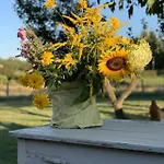 Nyaraló Sommerhaeuschen Rheinsberg