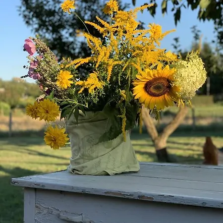 Дом отдыха Sommerhaeuschen Райнсберг