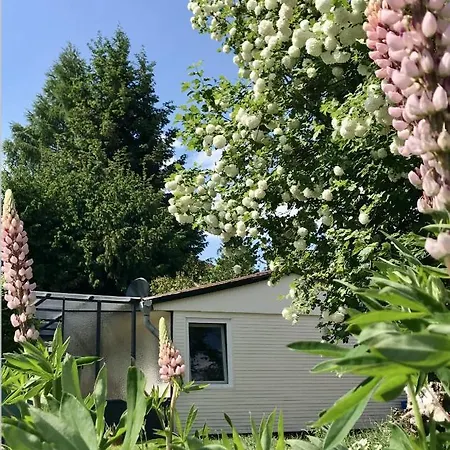 Semesterbostad Sommerhaeuschen Rheinsberg