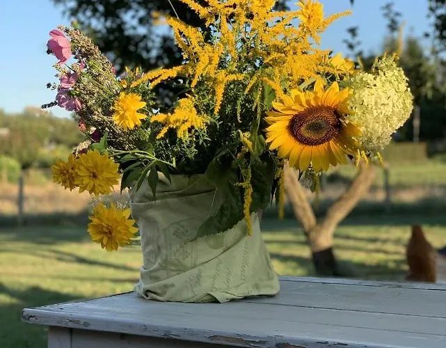 Hébergement de vacances Sommerhaeuschen Rheinsberg