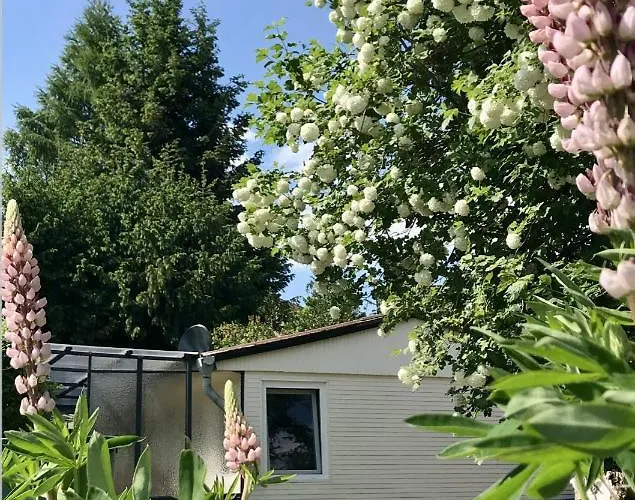 Hébergement de vacances Sommerhaeuschen Rheinsberg